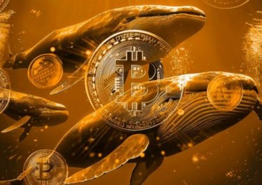 เจ้ามือฟันกำไรเละ ! เทขาย Bitcoin 60,000 BTC มูลค่ากว่า 2.2 หมื่นล้านดอลลาร์ เมื่อช่วงสัปดาห์ที่ผ่านมา