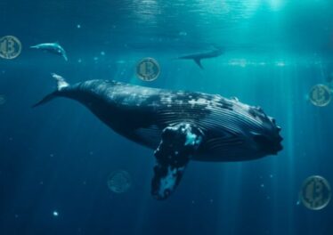 เจ้ามือรายใหญ่ช้อนซื้อ Bitcoin เพิ่ม 1,000 BTC ภายใน 2 วัน ท่ามกลางการมาของตลาดกระทิง