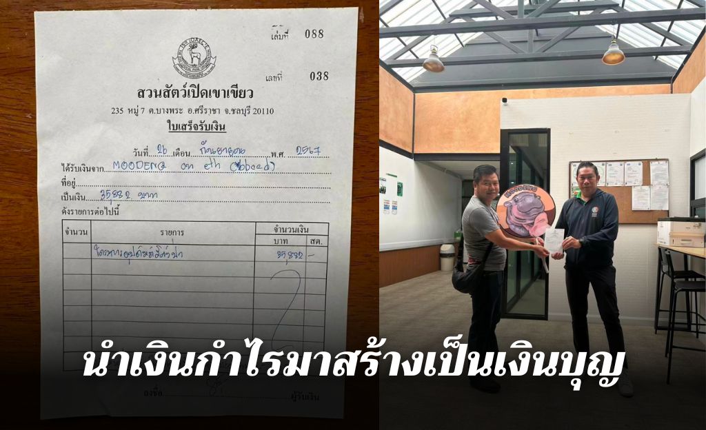 Trader's Big Heart: 'Moo Deng' Donates 35,882 Baht to Khao Kheow Open Zoo, Spreading Kindness with Every Profit - News Directory 3