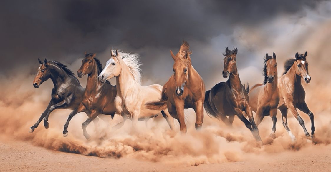 Top Analyst Reveals 6 Altcoins They Believe Will Be “The Fastest Horse”