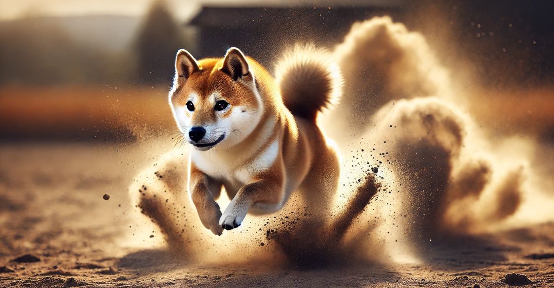 Shiba Inu โชว์เหนือ! Shibarium พุ่งแรง ธุรกรรมทะลุ 800 ล้านครั้ง แซง Cardano ไป 8 เท่า! แฟน ADA มีสะเทือน