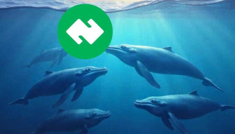 เจ้ามือโอน 5 ล็อตติดกว่า 1 แสน KUB สู่ DeFi: ตลาดจับตา 'ความลับ' เบื้องหลังการ Wrap เหรียญ