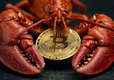 ประกาศกร้าว! ผู้สร้าง Openclaw ออกกฎเหล็ก “ห้ามเอ่ยถึง Bitcoin-คริปโต” ฝ่าฝืนเตะออกจาก Discord
