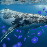 Cardano เครื่องร้อน! วาฬเสก USDCx 14 ล้านเหรียญในชั่วโมงเดียว ลุ้นเปิดตัว Mainnet พลิกโฉมวงการ