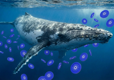 Cardano เครื่องร้อน! วาฬเสก USDCx 14 ล้านเหรียญในชั่วโมงเดียว ลุ้นเปิดตัว Mainnet พลิกโฉมวงการ