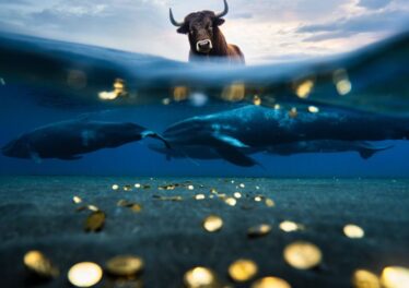 ตลาดซึมแต่วาฬไม่หลับ! ส่อง On-chain พบเจ้ามือแห่เก็บเหรียญกลุ่ม ‘RWA’ เงียบๆ รอกระทิงรอบใหญ่ Q2