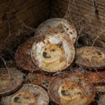 Dogecoin อาการร่อแร่! วอลลุ่มหายวูบ 50% ส่อแววร่วงยาวหลุด 0.09 ดอลลาร์