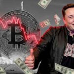 อ่วมหนัก! พอร์ต Bitcoin ของ SpaceX มูลค่าหายวับกว่า 7.3 พันล้านบาท ก่อนยื่น IPO เข้าตลาดหุ้น