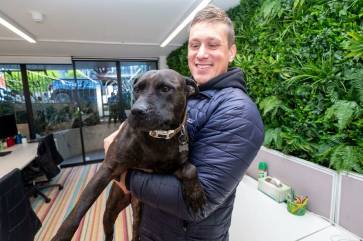 เกินคาด! หนุ่มออสเตรเลียใช้ Grok AI สร้างวัคซีน mRNA รักษามะเร็งให้ ‘สุนัขแสนรัก’ จนเนื้องอกยุบ 75%