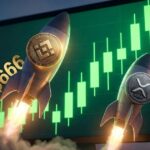 ราคา BNB พุ่ง 666 ดอลลาร์ หลังเกิด Golden Cross จ่อแซง XRP ขึ้นอันดับ 3 โลก