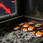 สาวก SHIB กุมขมับ! อัตราเผาเหรียญนิ่งสนิทเป็นศูนย์ 2 วันติด แม้ตลาดพยายามฟื้นตัว