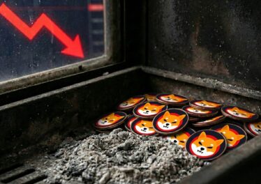 สาวก SHIB กุมขมับ! อัตราเผาเหรียญนิ่งสนิทเป็นศูนย์ 2 วันติด แม้ตลาดพยายามฟื้นตัว