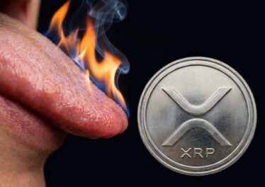 เผาก็ไม่ช่วย! อดีต CTO Ripple ยืนยันการเบิร์นเหรียญ XRP ทิ้งไม่ได้ช่วยให้ราคาพุ่ง