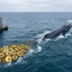 วาฬตื่น! หอบเงิน 5.2 พันล้านหนี Binance ถอน ETH 77,000 เหรียญเข้ากระเป๋าส่วนตัว