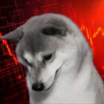 เปิด 4 สัญญาณชี้ชัด ทำไม Memecoin Season ยังไม่กลับมา