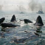 เจ้ามือย้ายฝั่งหนีคริปโตมาช้อนน้ำมัน