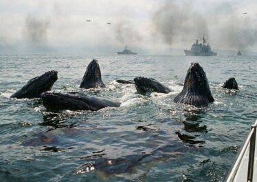 เจ้ามือย้ายฝั่งหนีคริปโตมาช้อนน้ำมัน