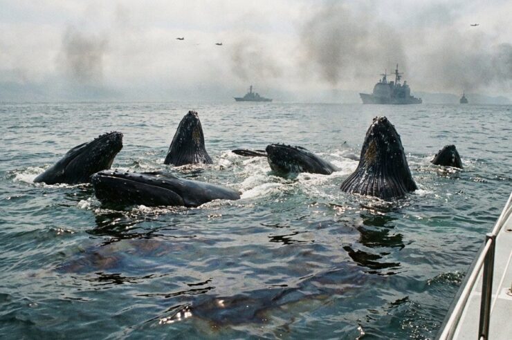 เจ้ามือย้ายฝั่งหนีคริปโตมาช้อนน้ำมัน