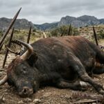 นักวิเคราะห์บล็อกเชนเตือน! การพุ่งรอบนี้อาจเป็นกับดัก ชี้ Bitcoin ยังมีโอกาสร่วงแตะ  $53,000