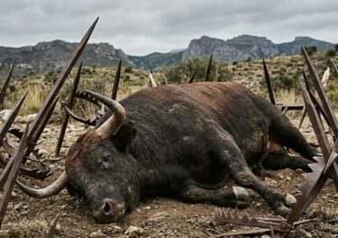 นักวิเคราะห์บล็อกเชนเตือน! การพุ่งรอบนี้อาจเป็นกับดัก ชี้ Bitcoin ยังมีโอกาสร่วงแตะ  $53,000