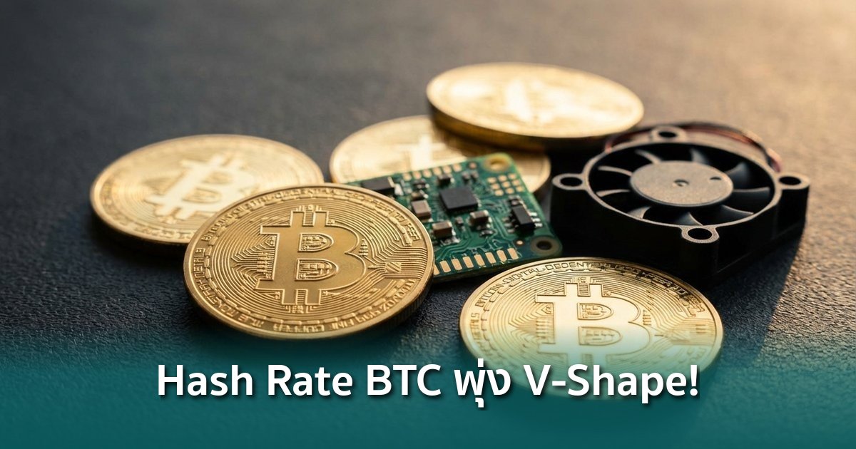 Hash Rate Bitcoin พุ่งกลับแบบ V-Shape สัญญาณนักขุดกลับมาเต็มกำลัง ...