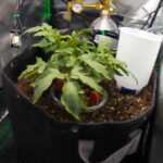 Claude AI โชว์เทพปลูกผักได้ดีกว่ามนุษย์ หนีเมืองมาทำไร่ยังเจอแย่งงาน 