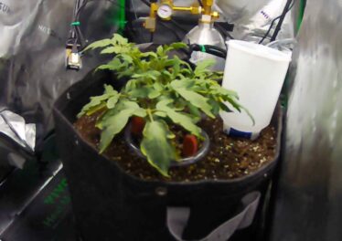 Claude AI โชว์เทพปลูกผักได้ดีกว่ามนุษย์ หนีเมืองมาทำไร่ยังเจอแย่งงาน 