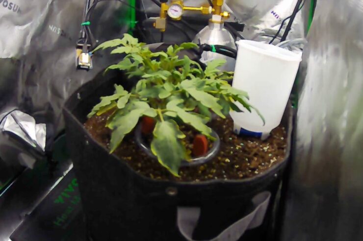 Claude AI โชว์เทพปลูกผักได้ดีกว่ามนุษย์ หนีเมืองมาทำไร่ยังเจอแย่งงาน 