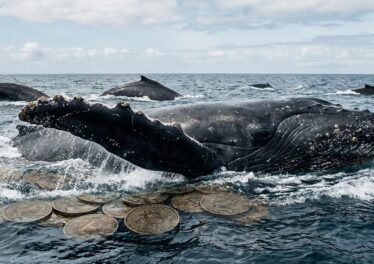 ข้อมูล Santiment ชี้สัญญาณบวก! เจ้ามือ Bitcoin กลับลำ ซื้อสุทธิครั้งแรกในรอบ 2 เดือน