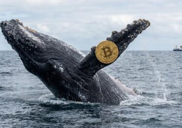 เจ้ามือเปิด Short Bitcoin เกือบ $27 ล้าน ยอด Short เพิ่มขึ้น สวนทางสถาบันที่ทยอยเก็บของ