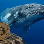 เจ้ามือที่หลับใหลไปกว่า 14 ปี ตื่นพร้อม Bitcoin ในมือ 2,100 BTC มูลค่า $147 ล้าน