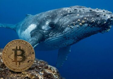 เจ้ามือที่หลับใหลไปกว่า 14 ปี ตื่นพร้อม Bitcoin ในมือ 2,100 BTC มูลค่า $147 ล้าน