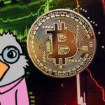 กูรูที่เคยทำนาย XRP พุ่ง 700% ชี้ Bitcoin ตอนนี้กำลังอยู่ในช่วงพักฐาน ไม่ใช่ขาลง