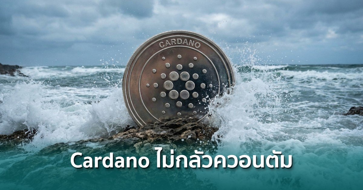 Cardano คือบล็อกเชนที่พร้อมรับมือควอนตัม เป็นอันดับที่ 2 จัดอันดับโดย Google