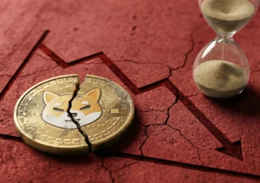 Shiba Inu ร่วง 93% จากจุดสูงสุดตลอดกาลเมื่อ 5 ปีที่แล้ว แต่ผู้ถือครองกลับกำลังเพิ่มขึ้น