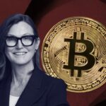 ARK Invest ฟันธง Bitcoin ยังไม่ถึงจุดต่ำสุด แม้เจ้ามือแห่เก็บของหนักสุดในรอบ 6 ปี