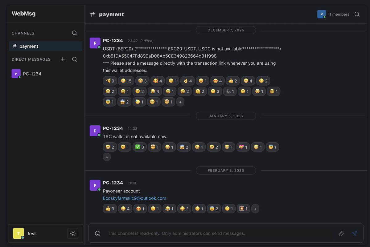 ภาพหน้าจอการสนทนาในช่อง 'payment' ของแอป WebMsg ที่แสดงที่อยู่กระเป๋าคริปโท USDT (BEP20), การแจ้งเตือนเกี่ยวกับกระเป๋า TRC และอีเมลบัญชี Payoneer ซึ่งเป็นรายละเอียดการทำธุรกรรมของเครือข่ายที่ถูกเปิดโปง