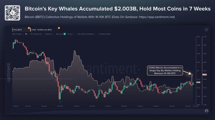 กราฟจาก Santiment แสดงจำนวน Bitcoin ที่ถือครองโดยวอลเล็ตขนาดใหญ่ (1,000-10,000 BTC) ซึ่งมีการสะสมเพิ่มขึ้น 27,652 BTC ในหนึ่งวัน และทำให้ยอดรวมแตะ 4.25 ล้าน BTC