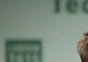 ลัทธิบูชา Vitalik กำลังเป็นจุดอ่อนใหญ่ที่สุดของ Ethereum