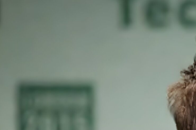 ลัทธิบูชา Vitalik กำลังเป็นจุดอ่อนใหญ่ที่สุดของ Ethereum