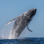 ส่องความเคลื่อนไหวเจ้ามือ 3 เหรียญ ก่อนประกาศผล CPI คืนนี้