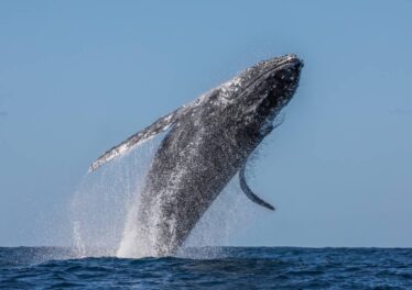 ส่องความเคลื่อนไหวเจ้ามือ 3 เหรียญ ก่อนประกาศผล CPI คืนนี้