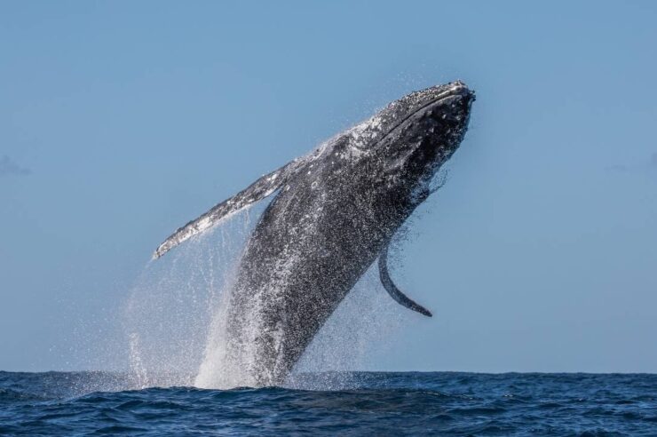 ส่องความเคลื่อนไหวเจ้ามือ 3 เหรียญ ก่อนประกาศผล CPI คืนนี้