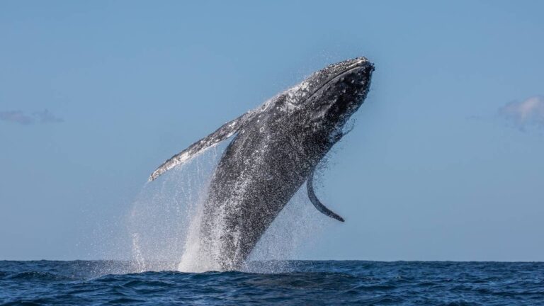 ส่องความเคลื่อนไหวเจ้ามือ 3 เหรียญ ก่อนประกาศผล CPI คืนนี้