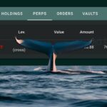 เจ้ามือปริศนาเปิด Short Bitcoin มูลค่า 972 ล้านบาท หรือเขารู้อะไรที่เราไม่รู้