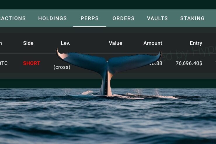 เจ้ามือปริศนาเปิด Short Bitcoin มูลค่า 972 ล้านบาท หรือเขารู้อะไรที่เราไม่รู้