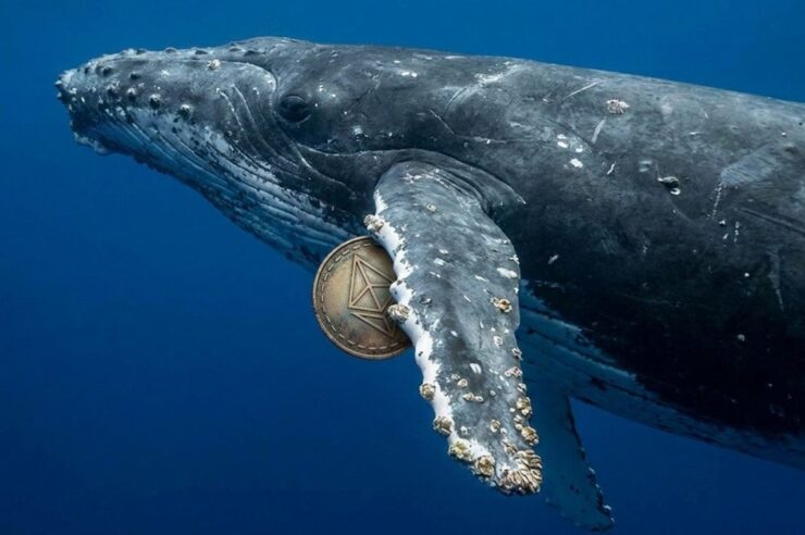 เจ้ามือปริศนากลับมาทุ่มซื้อ Ethereum เพิ่มอีก 32,007 ETH มูลค่า $77.5 ล้าน