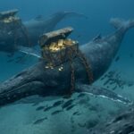 จับตาทุนใหญ่ CryptoQuant ชี้ยอดฝากคริปโตพุ่งทำนิวไฮในรอบ 21 เดือน 