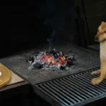 อัตราเผา SHIB ลดลงเกือบ 100% แตะระดับต่ำสุดในเดือนนี้ ขณะที่ Shibarium ธุรกรรมน้อยลง