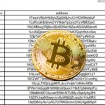 กลุ่มคนหัวใสสร้างระบบล่ากระเป๋า Bitcoin ไม่มีเจ้าของ ก่อนฟ้องศาลฮุบเป็นของตัวเอง